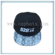 Promotional Cap(PHX-278)