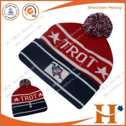 Knitted Hat(KHX-270)