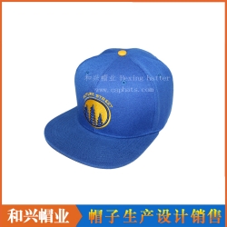 Snapback hats（PHX-502）