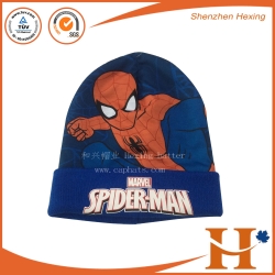 Knitted Cap(KHX-274)