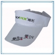 Sun Visor