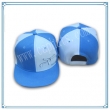 Snapback hats(PHX-192)