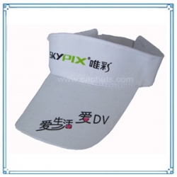 Sun Visor