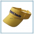 Sun Visor