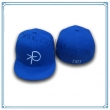 平板帽(PHX-181)