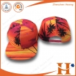 Snapback hats（PHX-382）