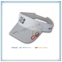 Sun Visor